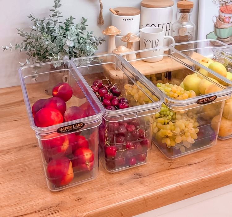 ظرف نظم دهنده