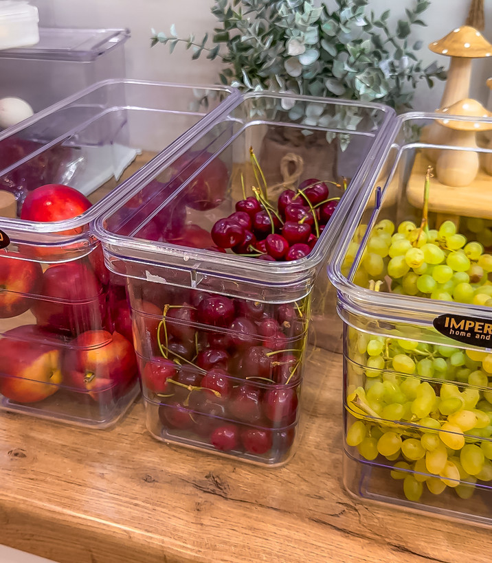 ظرف نظم دهنده