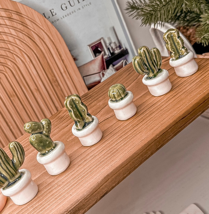 کاکتوس سرامیکی